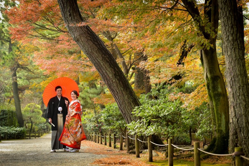 写真全部気に入ってます