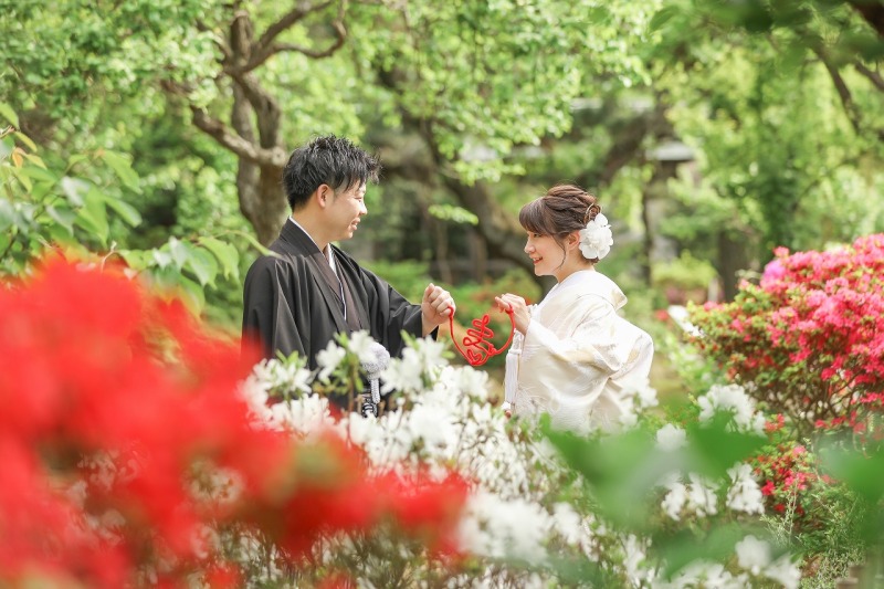 ツツジに囲まれて