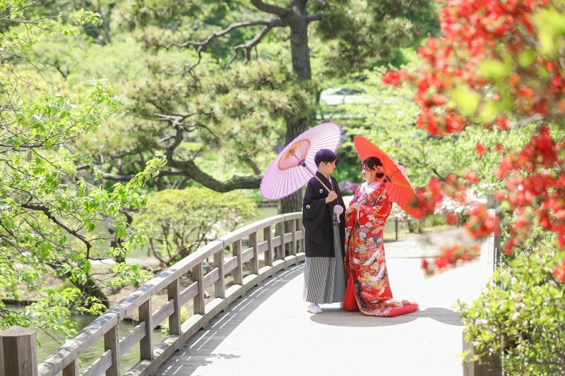 色打掛が映える