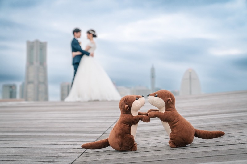 洋装でもカワウソが大活躍！