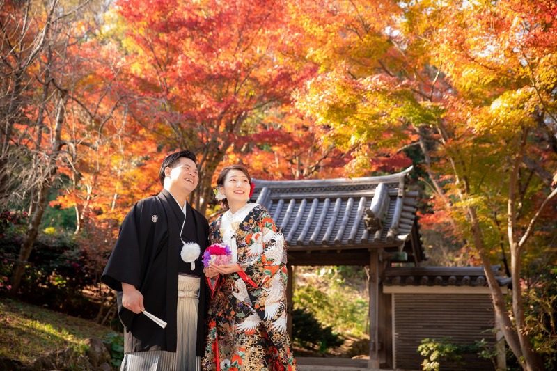 紅葉がとてもきれい！