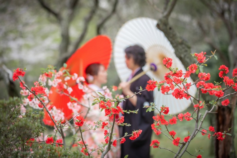 番傘とお花の紅白揃え