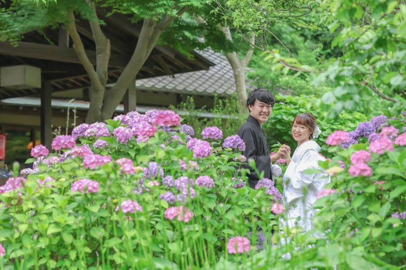 紫陽花と一緒に