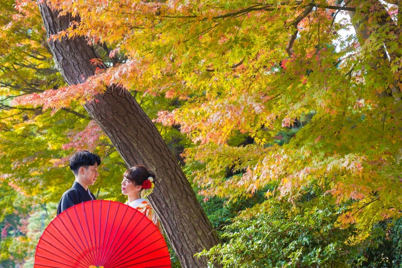 とても良い写真が撮れました！