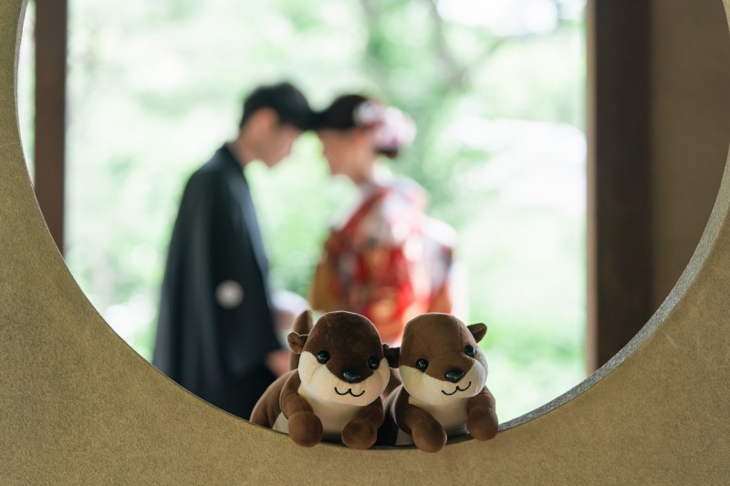 カワウソも混ざって一枚