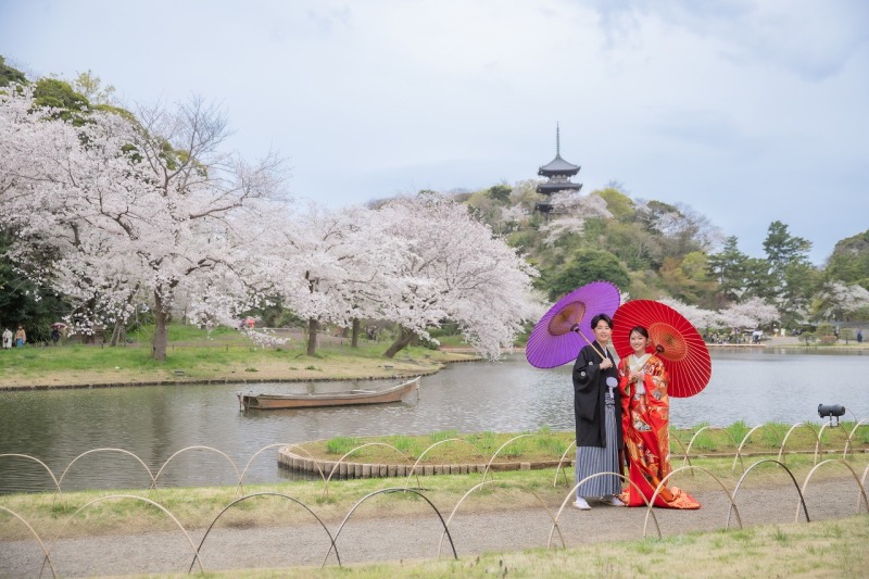 桜と空
