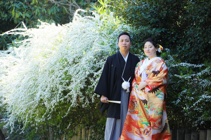 ユキヤナギと一緒に