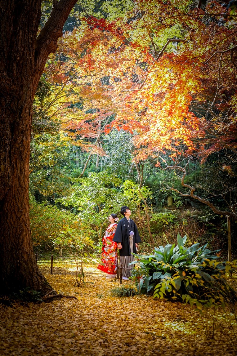 背中合わせでしっとりと・・・