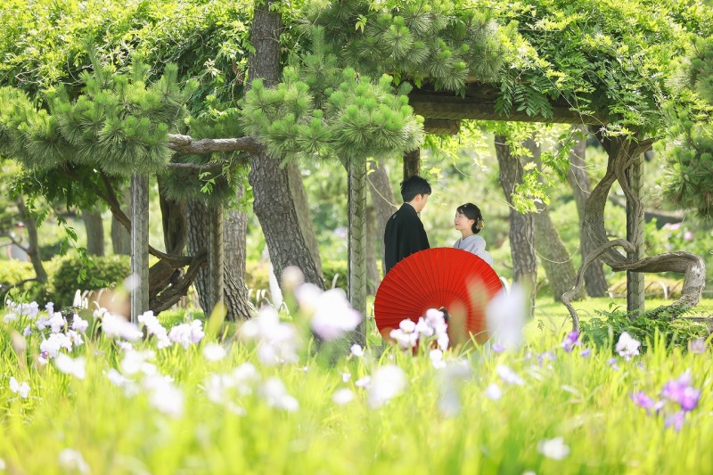花菖蒲