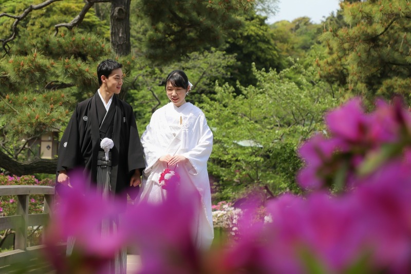 ツツジと一緒に