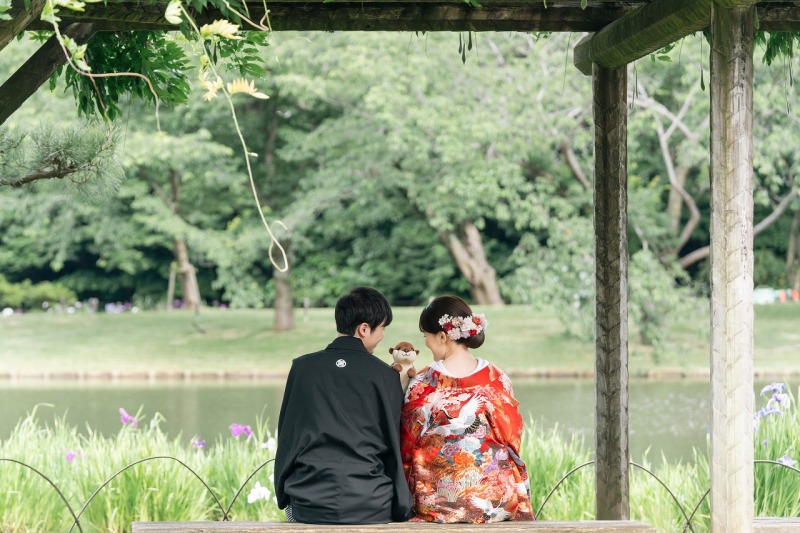 ひょっこりカワウソ