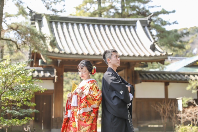 キリリとした雰囲気の良いですね