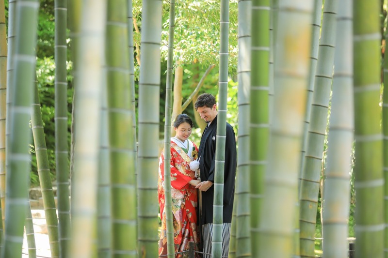 竹林の隙間を狙っての撮影です