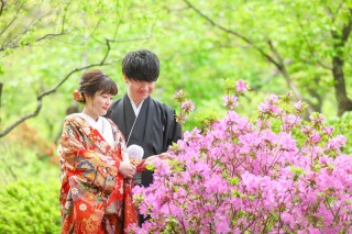 華雅苑 横浜店_新緑の三渓園