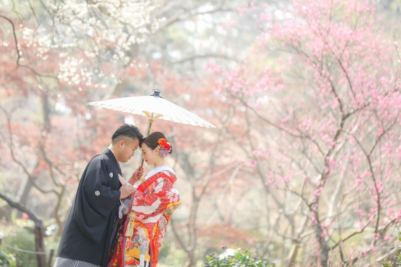 1月下旬~2月中旬は白梅と紅梅が見頃のです!