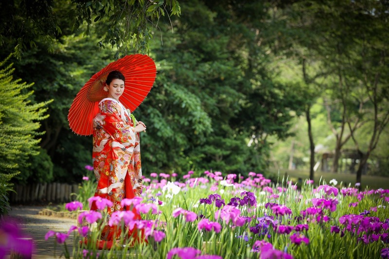 華雅苑 横浜店_色打掛・着物が豊富