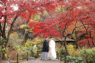 真っ赤な紅葉も和装姿がとても映える庭園撮影の素敵な瞬間です。それぞれの季節に合った撮影をお二人と共に楽しんでいきます