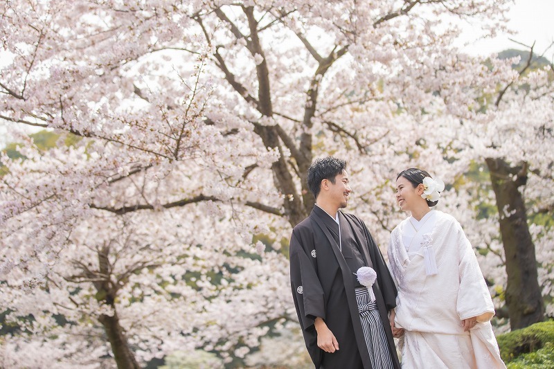 【3/26～4/10撮影】和洋ロケ(三渓園＋大桟橋：日中)弐点プラン《衣装追加料なし・申請料・移動費・データ210枚》