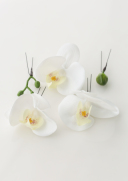 ヘアアクセサリー15