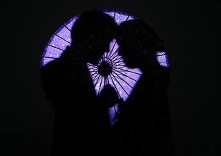 和装1着でも多くのシーンを！