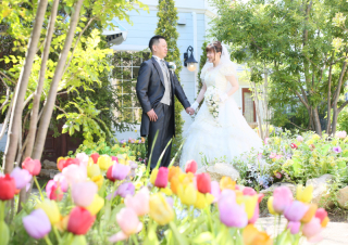 写真館にこんなお庭が