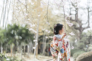 創寫舘 　豊田スタジオ_<ロケ>丈山苑 | 安城市