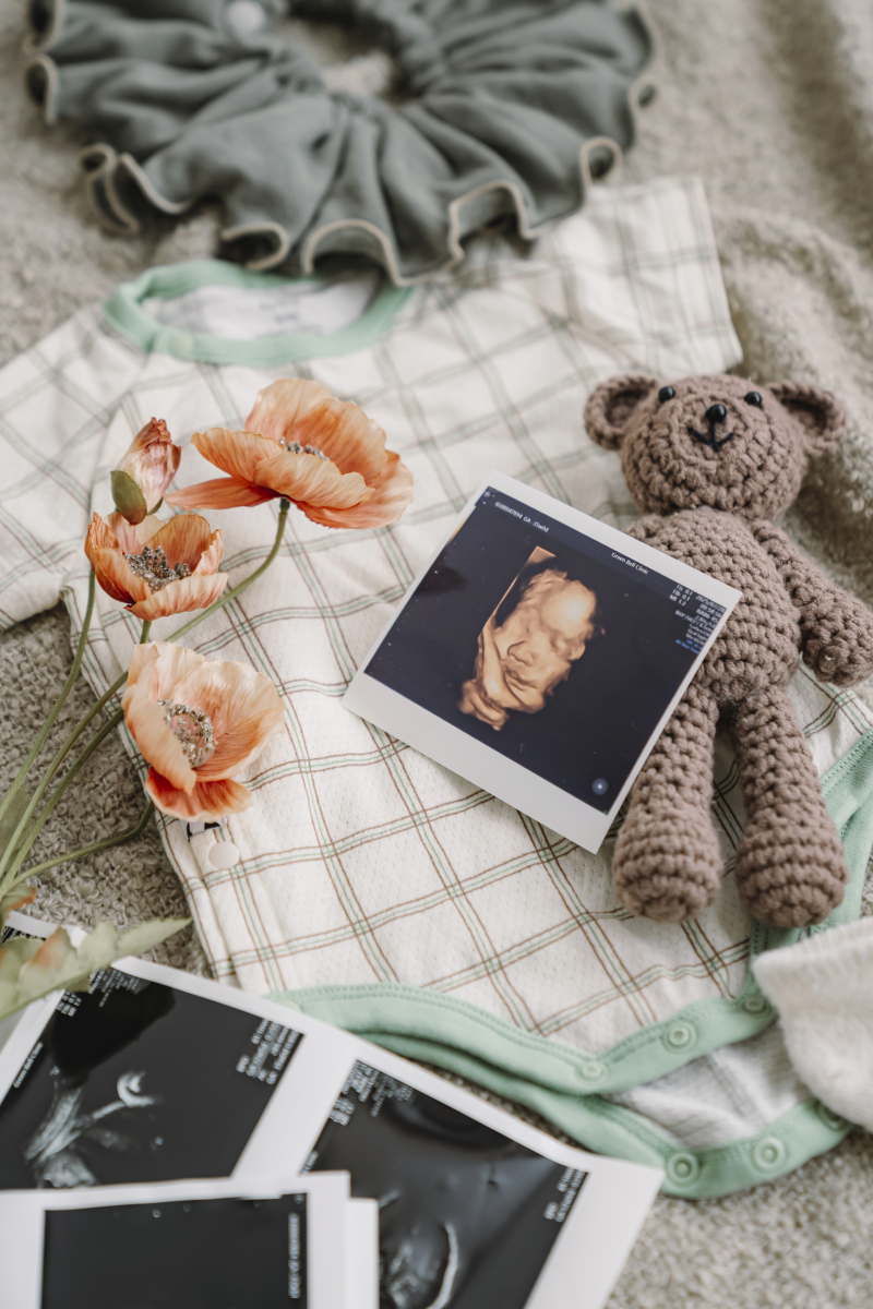 【 マタニティフォト 】2カットプラン