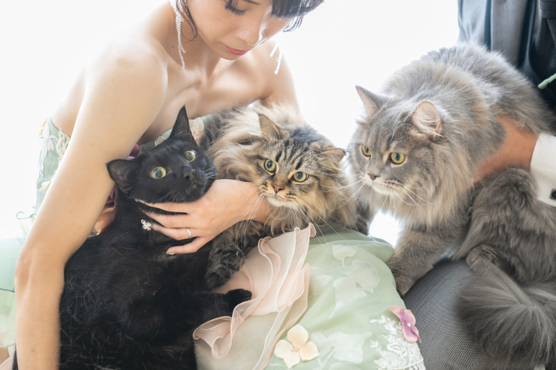 ねこちゃんと一緒に撮影