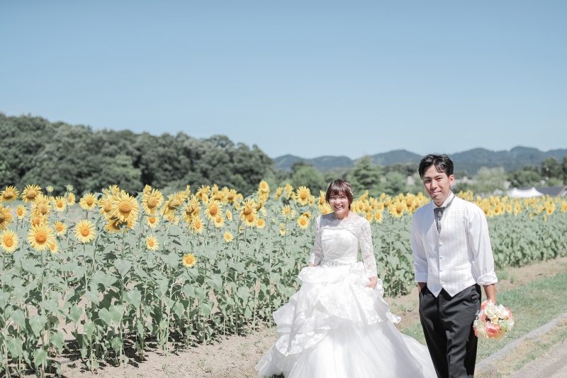 ひまわり畑をおさんぽ