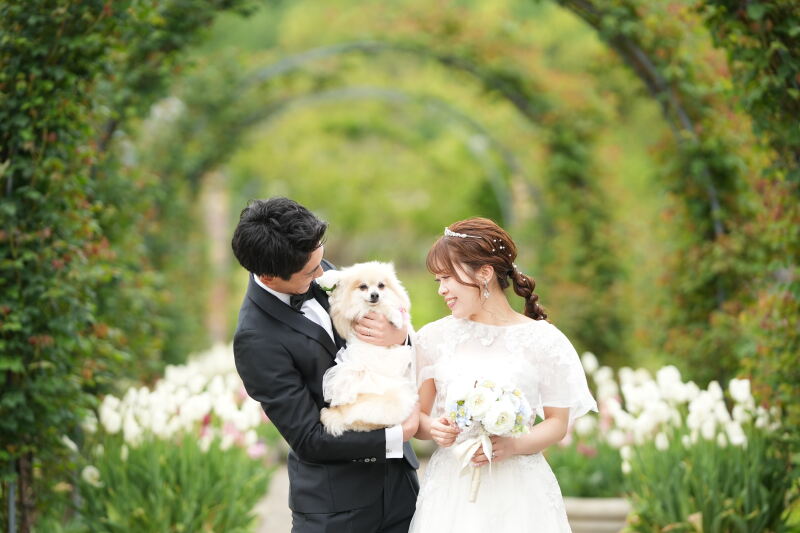 熱い眼差しを向けて