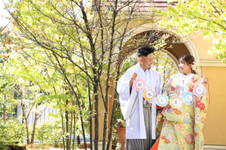 和洋装3着プラン　2024年秋