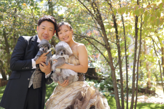 和洋装3着プラン　わんちゃんと一緒