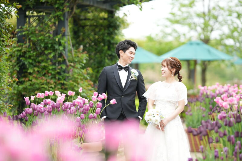 チューリップ撮影～＊