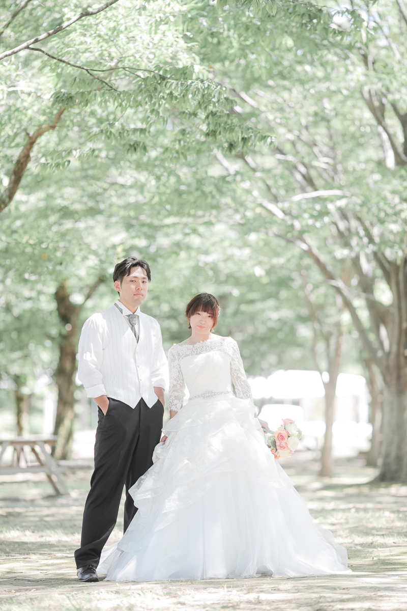 ひまわり以外も