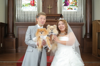 和洋装3着プラン◆ペットと一緒