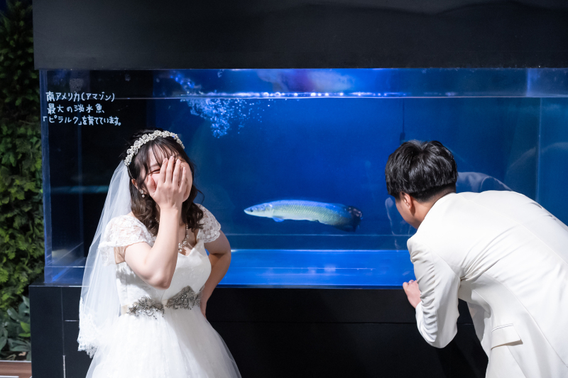 大好きなピラルク