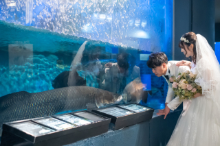 和装+出張撮影～寺泊水族館～