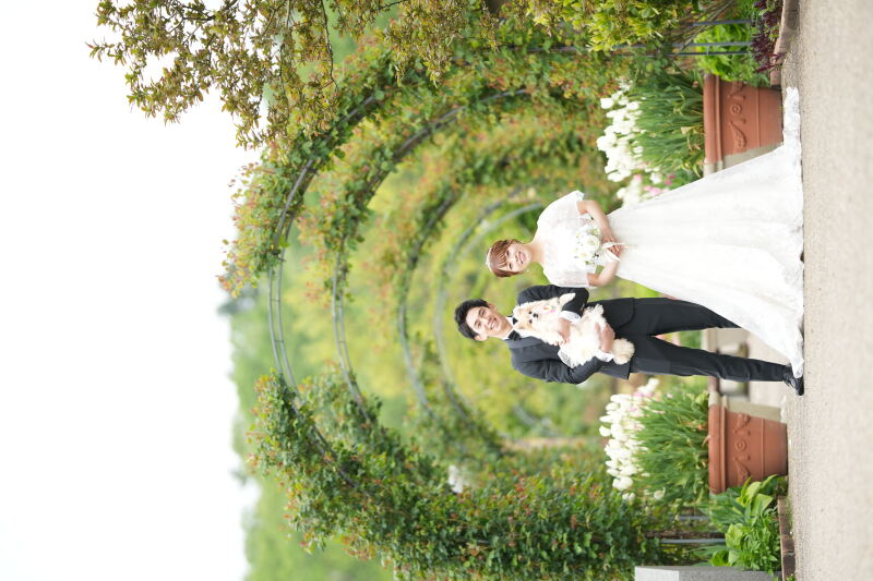 ドレス姿を美しく