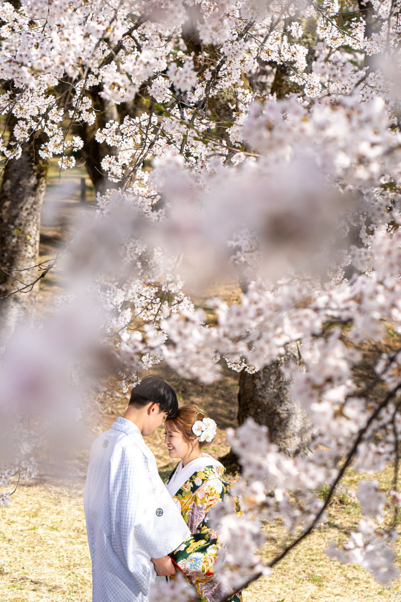 【旧長岡市内◆桜出張ロケーション&times;和装】季節限定桜ロケ―ション撮影プラン【六切写真台紙付】