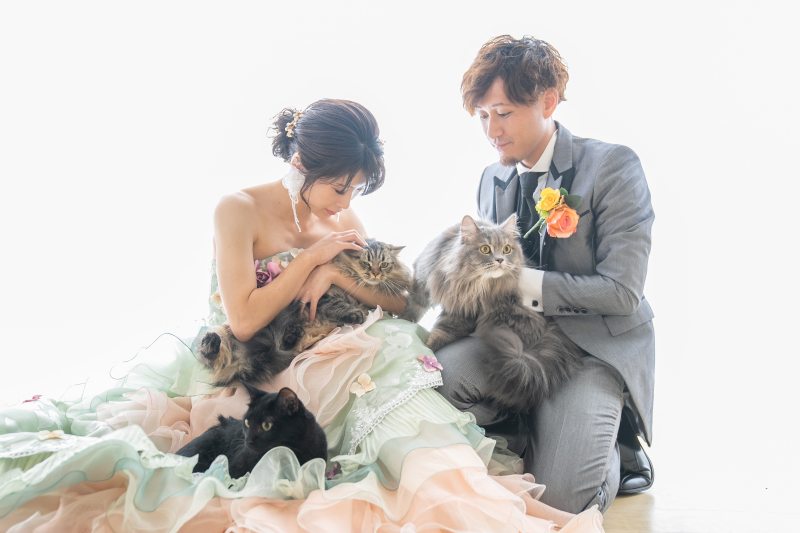 ◆和洋装3着◆大切な家族《わんちゃん・ねこちゃんと一緒に撮影》100カット撮影◆衣装+美容+アルバム+データ付きオールインワン