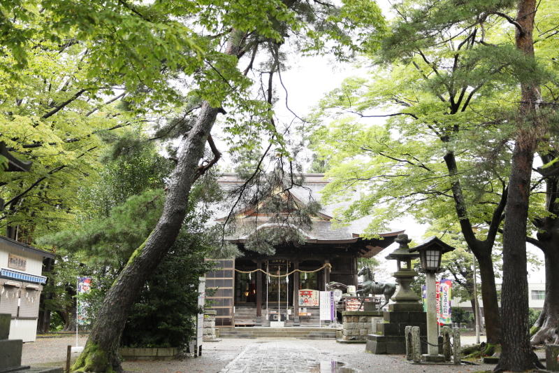 かぞく和婚◆神社挙式+6名での食事◆写真館で叶える神社婚◆衣装×ヘアセットメイク×着付け全部込み