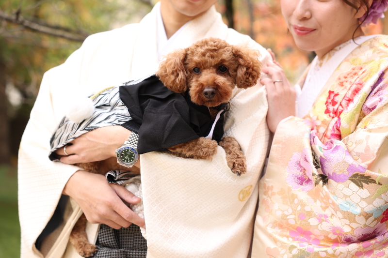 ◆和洋装3着◆大切な家族《わんちゃん・ねこちゃんと一緒に撮影》100カット撮影◆衣装+美容+アルバム+データ付き◆8月末まで限定