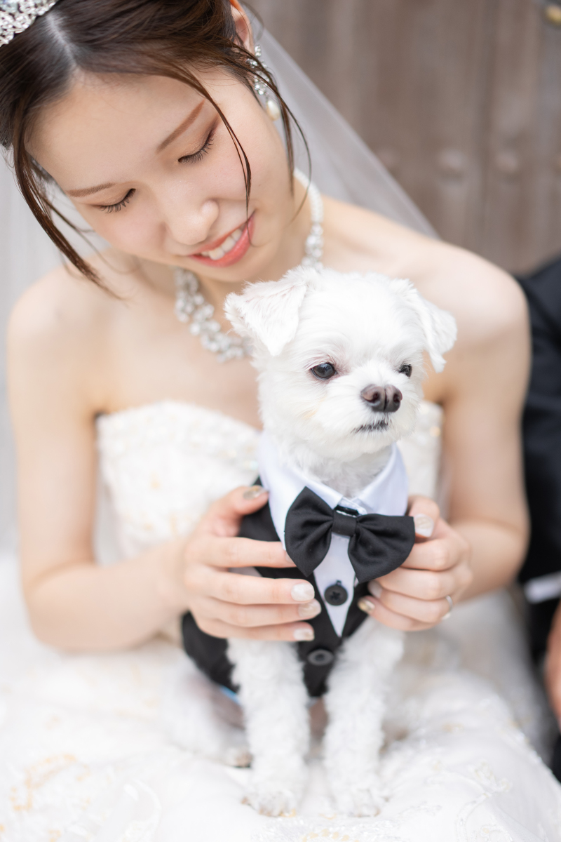 【洋装×ペット撮影】わんちゃんねこちゃんと一緒のウエディングフォト