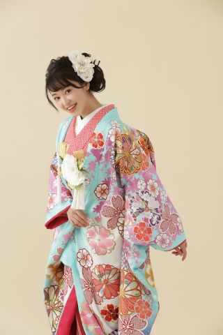 Z3桜に菊絵水色白暈