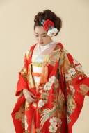 C34赤地しだれ梅と鳳凰