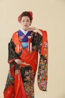 N185赤地四季花車