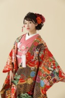 C59赤地几帳御所車