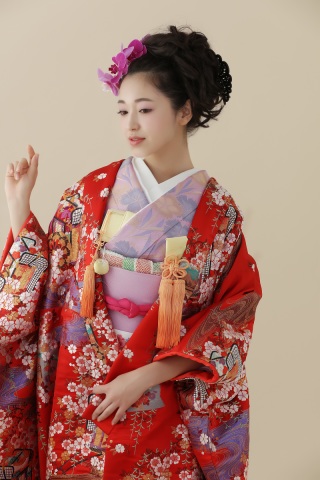 C66赤地枝垂れ沙裏流水