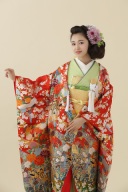 H22赤緑染分鶴御所車