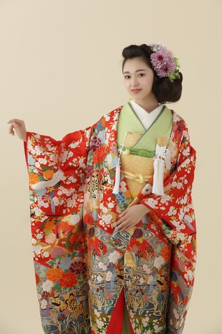 H22赤緑染分鶴御所車